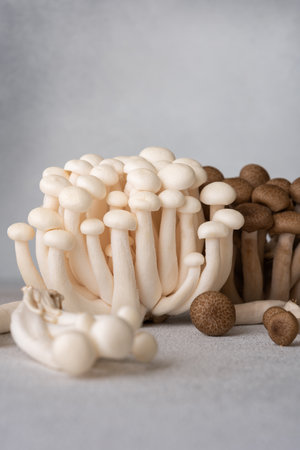 Fresh brown and white shimeji mushrooms on gray background. Asian cultivated edible mashrooms.の写真素材