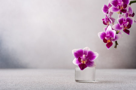 Beauty purple orchid on a gray background. Spa scene with copy space.の写真素材