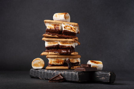Freshly roasted smores. Delicious marshmallow sandwich with cracker and chocolate on dark background.の写真素材
