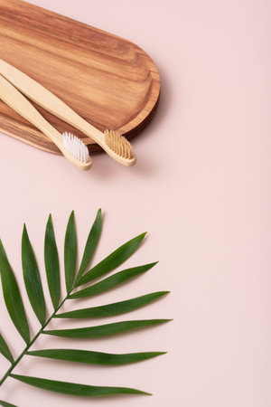 Bamboo toothbrushes on a wooden tray with a palm leafの写真素材