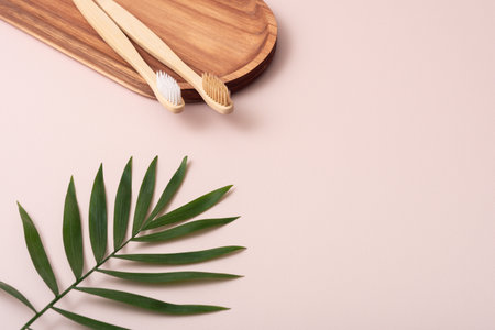 Bamboo toothbrushes on a wooden tray with a palm leafの写真素材