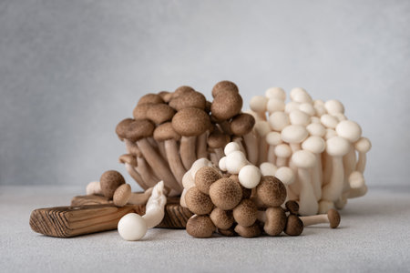 Fresh brown and white shimeji mushrooms on gray background. Asian cultivated edible mashrooms.の写真素材