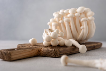 Fresh white shimeji mushrooms on gray background. Asian cultivated edible mashrooms.の写真素材