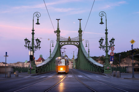 Sunrise scenic view of Liberty Bridge at Budapest, Hungary.の写真素材
