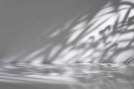 Minimal abstract light gray background for product presentation with soft shadow and light from palm leaves on white wall.の写真素材