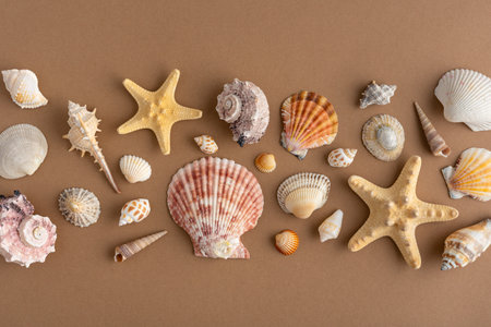 Assortment of seashells and starfish on a warm brown background. Coastal still life with natural...