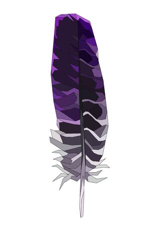 realistic feather vector art isolated in white on a purple and gray colorのイラスト素材