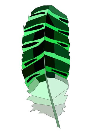 realistic exotic bird feather vector art isolated in white on a green and gray colorのイラスト素材