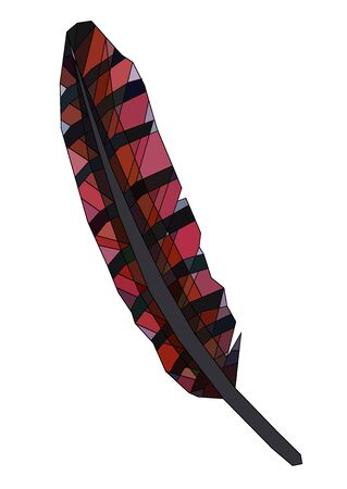 realistic exotic bird feather vector art isolated in white on a red and gray colorのイラスト素材