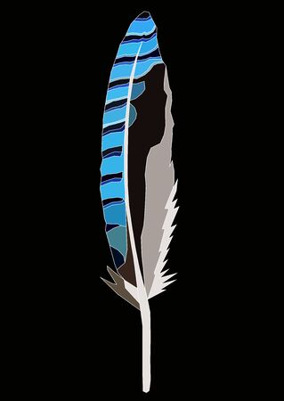 realistic feather vector art isolated in black on a gray and blue colorのイラスト素材