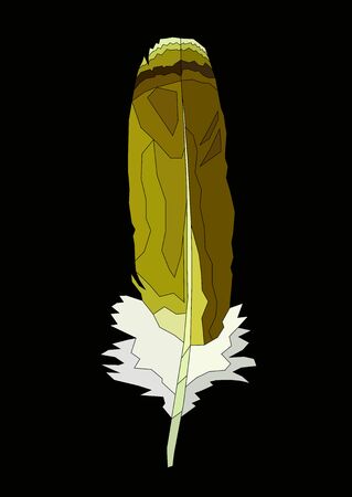 realistic feather vector art isolated in black on a yellow and white colorのイラスト素材