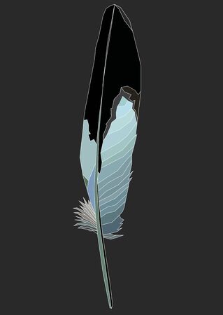 realistic feather vector art isolated in gray on a purple and gray colorのイラスト素材