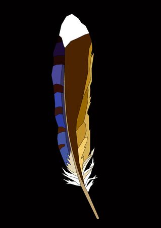 realistic colored feather vector art isolated in blackのイラスト素材