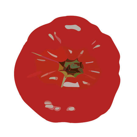 realistic red tomato vector art. Isolated in whiteのイラスト素材