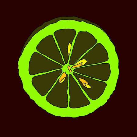 Green Lime citrus slice vector art isolated on burgundy colorのイラスト素材