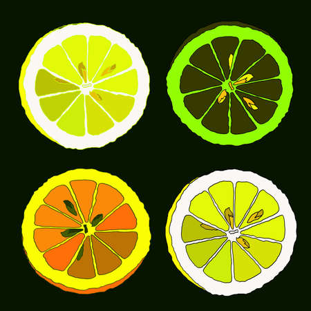 realistic citrus fruits vector art set isolated in greenのイラスト素材