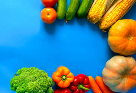Frame of fresh vegetables with space for text on blue background. Copy space. Harvest festival. Happy Thanksgiving day background. Vegetables assortment. Mix of vegetables on blueの写真素材