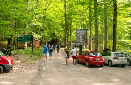 Montenegro - Budva: September 8, 2021: Information plate in Biogradska National park natural rain forest. Biogradsko Gore. UNESCO world heritage site. Info sign in the rainforest of Montenegro.のeditorial素材