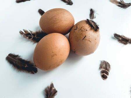 Homemade chicken eggs on a white background with brown chicken feathers.