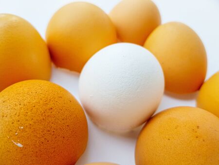 Yellow chicken eggs on a white background close-up background. Space for text. High quality photo