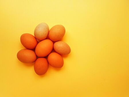 Chicken yellow eggs on a bright yellow background. Space for text. High quality photo
