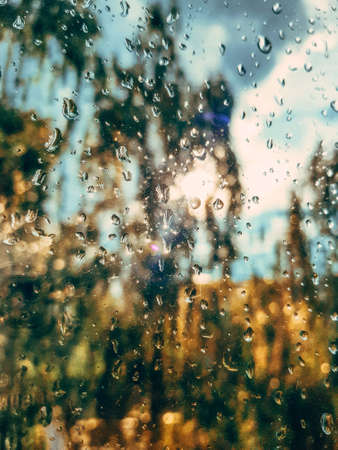 Selective focus. Raindrops on the glass window after a summer rain on a background with a green tree, blue sky and sun rays at sunset. High quality photoの写真素材
