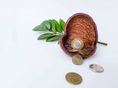 Belarusian coins on a white background made of alloy of metals and copper. Against the background of...