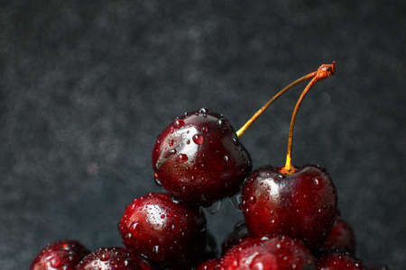 Bright red juicy bold cherry with a trunk on a black heterogeneous background with drops of water....
