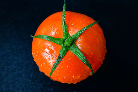 Bright juicy red tomato on a black background with leaves and trunk. High quality photo
