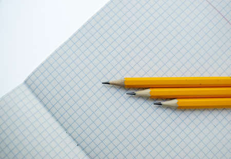 Yellow slate pencils on a white blank sheet of notebook in a cage. School. High quality photoの写真素材