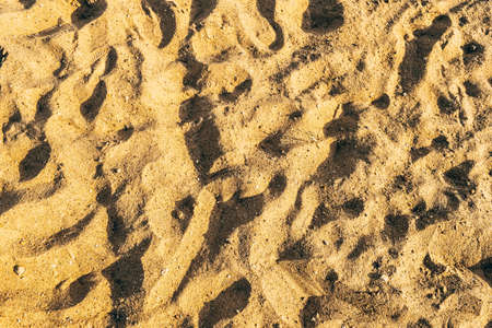 Sandy brown river beach. The concept of leisure and entertainment. Background . High quality photo