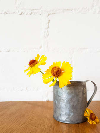 Yellow rudbekia flowers or coneflowers in an iron cup on a wooden table on a white background. High...