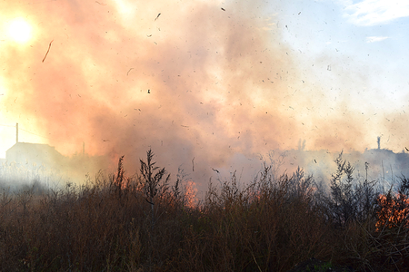 Ignition of dry grass and reeds near residential buildings.の写真素材