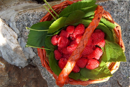 On the granite stands a basket with fresh raspberries, a top view, a close-up.の写真素材