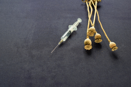 Poppy seed capsules and a disposable syringe on a black background.の写真素材