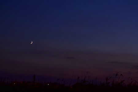 Crescent against the background of the evening sky, the horizon is colored by the setting sun.の写真素材