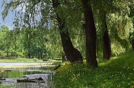 Landscape with a river, a forest and people relaxing on a weekend on the beach.の写真素材