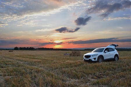 Family picnic in the mown wheat field. Beautiful sunset.の写真素材