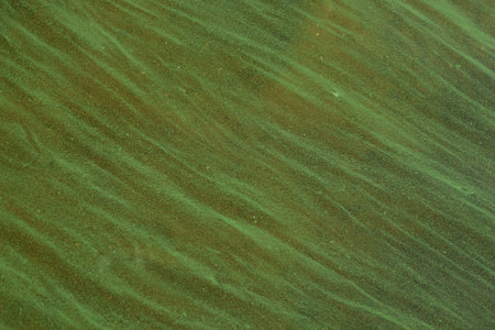 Water in the river with a large concentration of blue-green algae.の写真素材