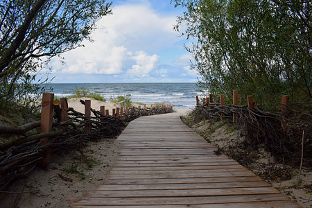 Wooden path in the dunes to the Baltic Sea. Palanga, Lithuania.の写真素材