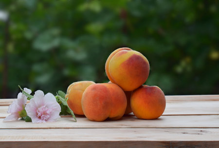 Ripe peaches in and a little flower on a wooden table.の写真素材