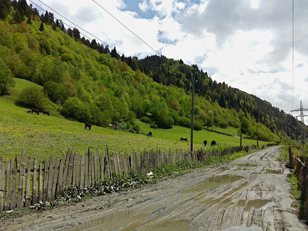 Country road in the Caucasus mountains (Georgia).の写真素材