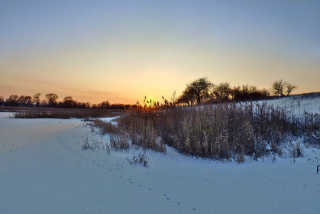 Winter landscape: frozen and snowy pond at sunset, animal tracks in the snow.の写真素材