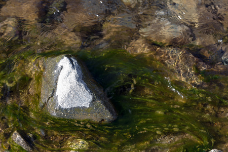 Stone with mud in the clear water of the river
