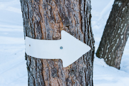 label with an arrow on a tree for skiers