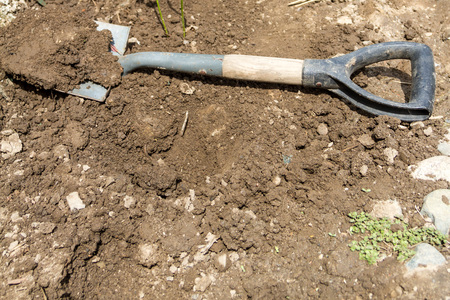 Small garden shovel lying on the ground