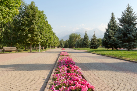 Alley of the city park in the background of the mountainsの写真素材