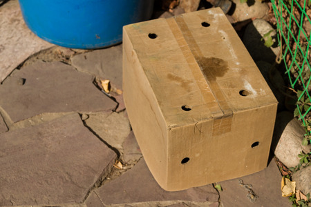 inverted empty cardboard box in beige color in the sun
