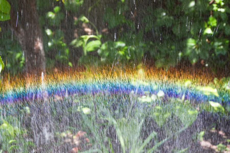 rainbow in the spray of water against foliageの写真素材