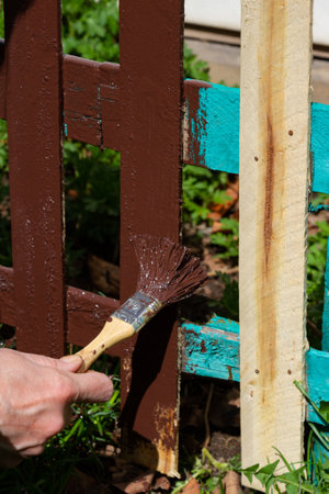 painting a picket fence brown by a woman's handの写真素材